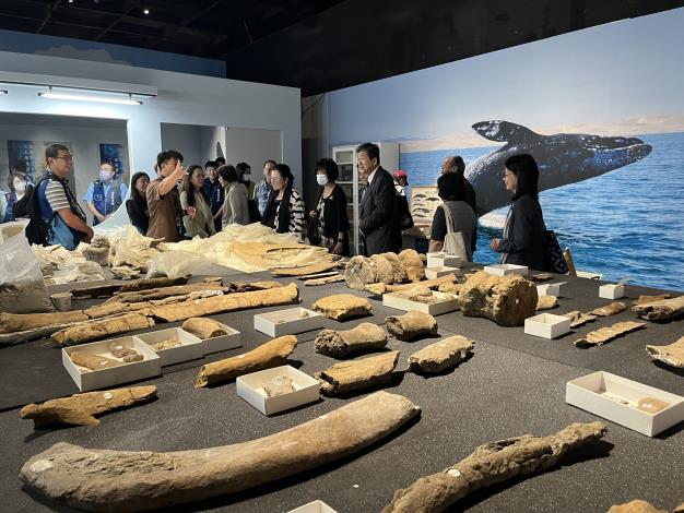 內族委員會召集人蔡崇義委員等，實地巡察「中臺灣海洋保育中心」並參觀「鯨掘特展」，了解海洋哺乳類動物的生態研究與保育教育推廣成果