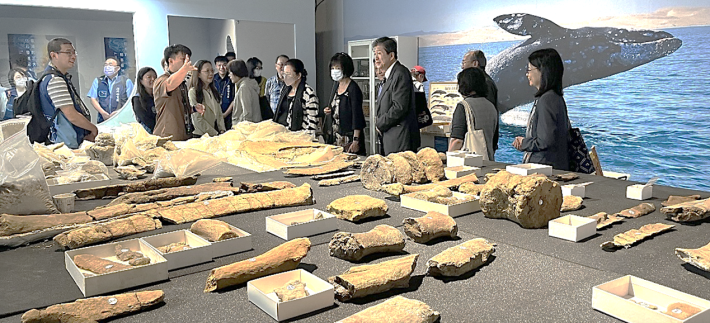 Domestic and Ethnic Committee conducts site inspection of the MCEC to understand ecological research on marine mammals and achievements in conservation education (2025.11.07)